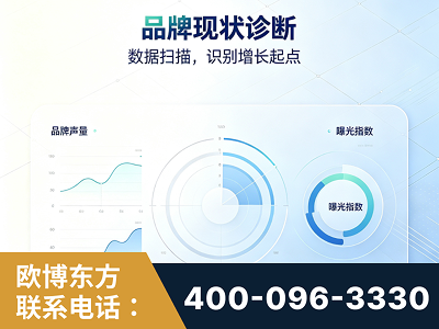 泸水-品牌现状诊断